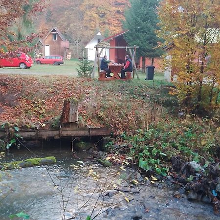 Cabana Valea Stanciului Rachitele Esterno foto