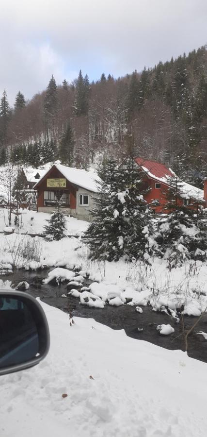 Cabana Valea Stanciului Rachitele Esterno foto
