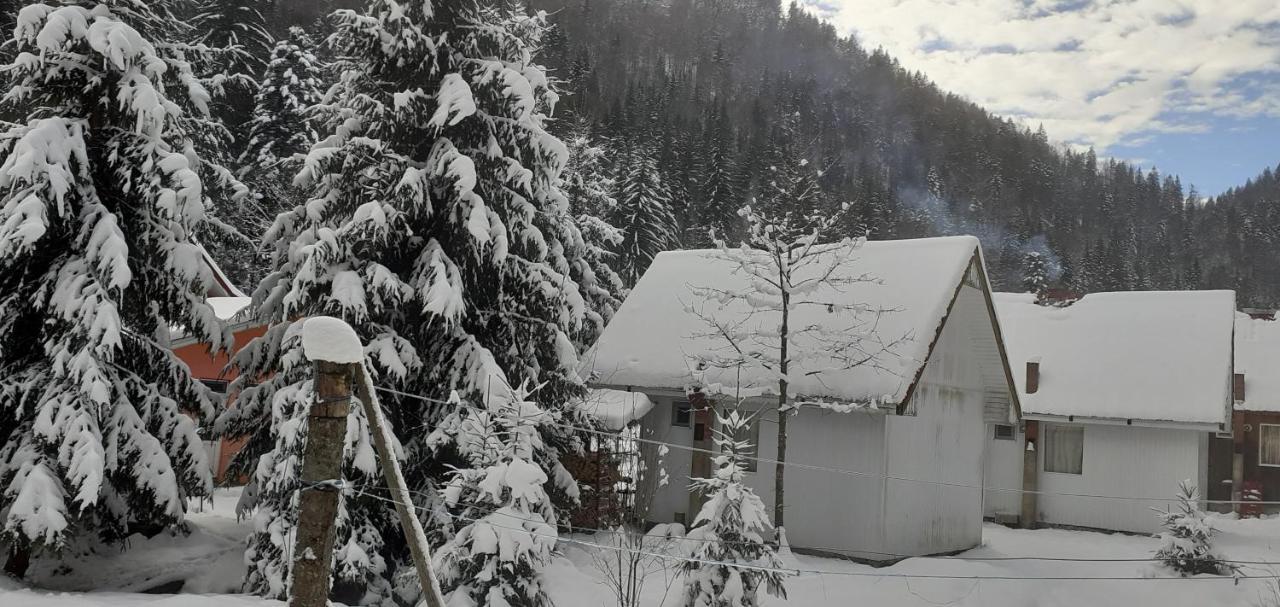 Cabana Valea Stanciului Rachitele Esterno foto