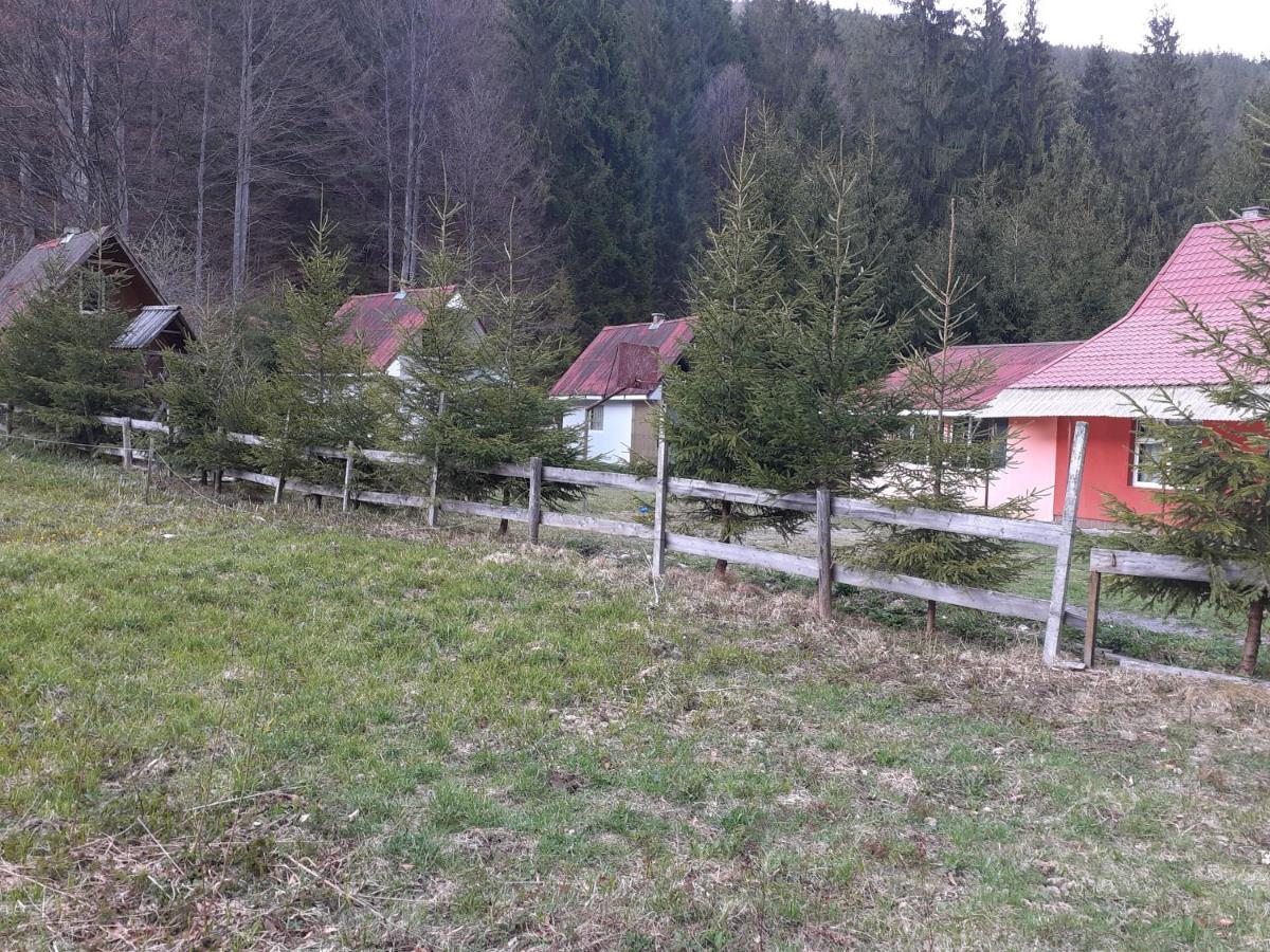 Cabana Valea Stanciului Rachitele Esterno foto