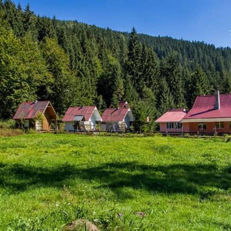Cabana Valea Stanciului Rachitele Esterno foto