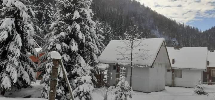 Cabana Valea Stanciului Rachitele Esterno foto