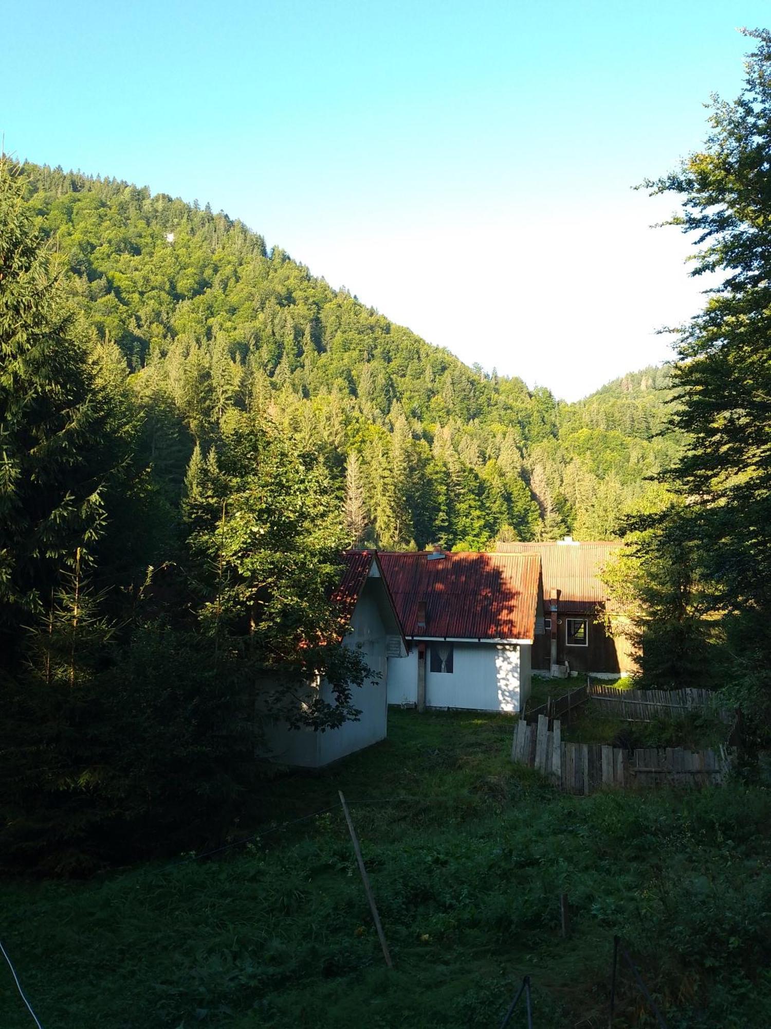 Cabana Valea Stanciului Rachitele Esterno foto