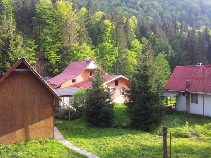 Cabana Valea Stanciului Rachitele Esterno foto